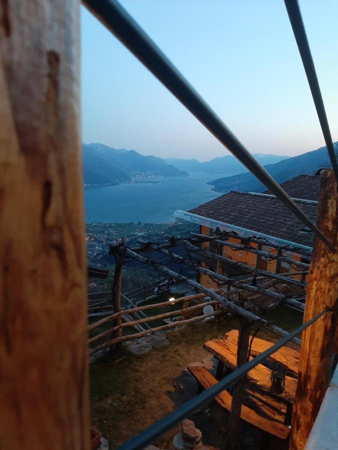 Agriturismo Zertin Farm stay